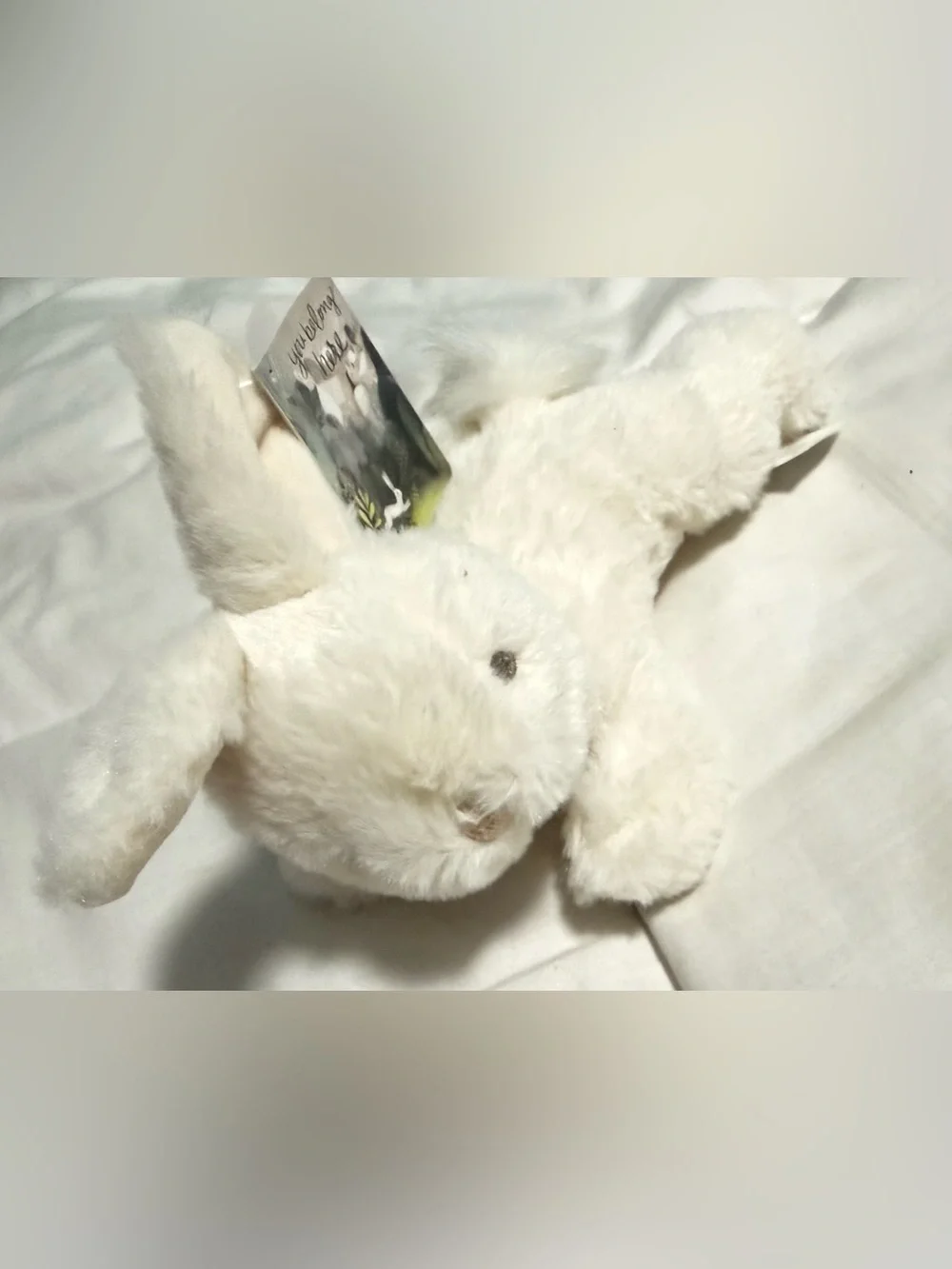 Stuffed Animal Soft Rabbit from the book “You belong Here” NWT